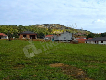 Liliom utca-pilisjaszfalu-liliom-utca_39.jpg