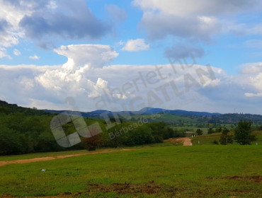 Liliom utca-pilisjaszfalu-liliom-utca_41.jpg