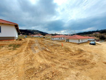 Liliom utca-pilisjaszfalu-liliom-utca_45.jpg