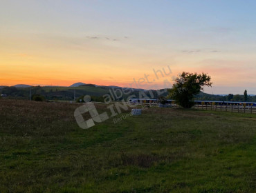 Liliom utca-pilisjaszfalu-liliom-utca_50.jpg