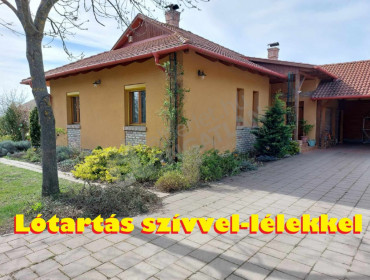 Margita utca