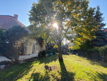 Szűcs utca-budapest-xvi-kerulet-szucs-utca_16.jpg