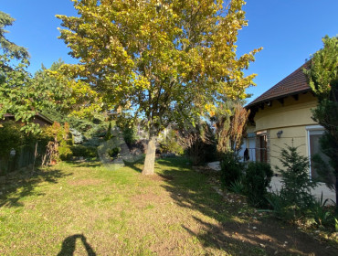 Szűcs utca-budapest-xvi-kerulet-szucs-utca_18.jpg