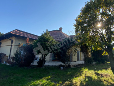 Szűcs utca-budapest-xvi-kerulet-szucs-utca_19.jpg