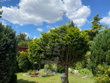 Szűcs utca-budapest-xvi-kerulet-szucs-utca_20.jpg