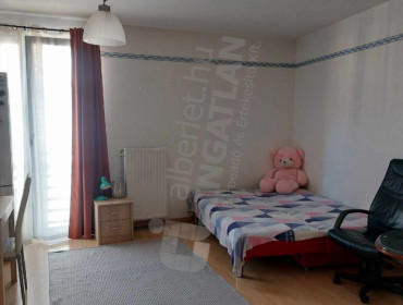 Hutyra Ferenc utca-budapest-vii-kerulet-hutyra-ferenc-utca_15.jpg