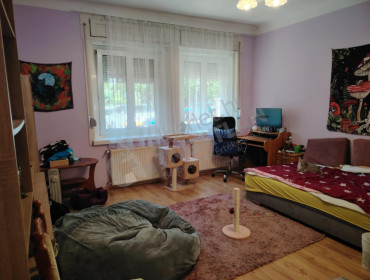 Kelemen László utca-budapest-ii-kerulet-kelemen-laszlo-utca_20.jpg