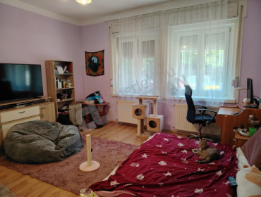 Kelemen László utca-budapest-ii-kerulet-kelemen-laszlo-utca_6.jpg