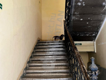 Szondi utca-budapest-vi-kerulet-szondi-utca_14.jpg