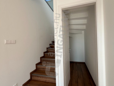 Tolnai Lajos utca-budapest-viii-kerulet-tolnai-lajos-utca_18.jpg