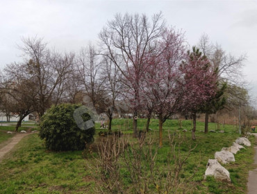 Királyok útja-budapest-iii-kerulet-kiralyok-utja_10.jpg