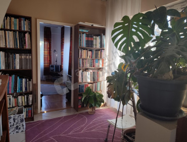 József Attila útja-budapest-ii-kerulet-jozsef-attila-utja_7.jpg