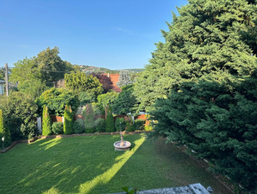 Jókai utca-budapest-ii-kerulet-jokai-utca_10.jpg