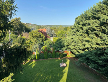 Jókai utca-budapest-ii-kerulet-jokai-utca_11.jpg