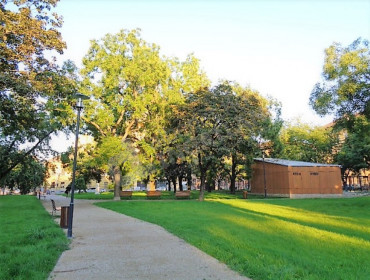 Szeszgyár utca-budapest-viii-kerulet-szeszgyar-utca_23.jpg