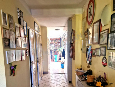 Népsziget út-budapest-xiii-kerulet-nepsziget-ut_5.jpg