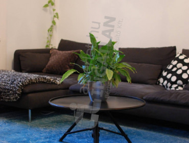 Szentkirályi utca-budapest-viii-kerulet-szentkiralyi-utca_2.jpg