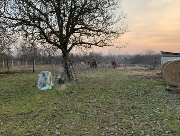 Nyír utca-budapest-xxiii-kerulet-nyir-utca_4.jpg