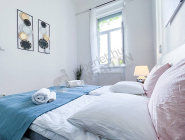 Nagy Diófa utca-budapest-vii-kerulet-nagy-diofa-utca_10.jpg