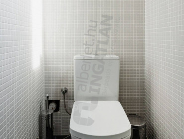 Nagy Diófa utca-budapest-vii-kerulet-nagy-diofa-utca_13.jpg