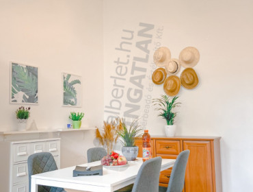 Nagy Diófa utca-budapest-vii-kerulet-nagy-diofa-utca_16.jpg