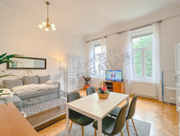 Nagy Diófa utca-budapest-vii-kerulet-nagy-diofa-utca_21.jpg