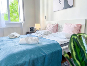 Nagy Diófa utca-budapest-vii-kerulet-nagy-diofa-utca_4.jpg