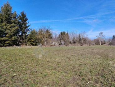 Zrinyi  utca-bicske-zrinyi-utca_3.jpg