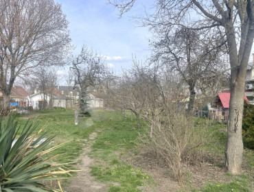 Péceli út-budapest-xvii-kerulet-peceli-ut_12.jpg