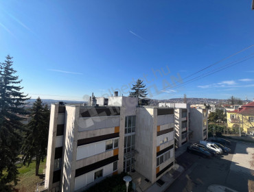 Iglói út-budapest-xi-kerulet-igloi-ut_22.jpg