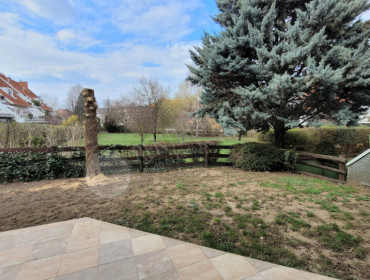 Álmos utca-pomaz-almos-utca_22.jpg