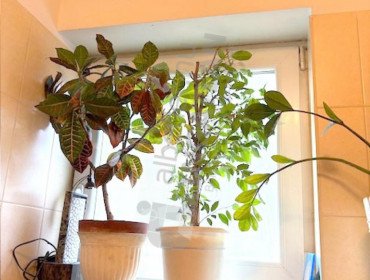 Dévényi utca-budapest-xiii-kerulet-devenyi-utca_6.jpg