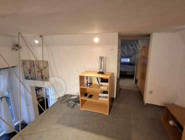 Holló utca-budapest-vii-kerulet-hollo-utca_13.jpg