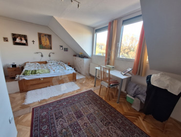 Zichy Péter utca-budakeszi-zichy-peter-utca_7.jpg